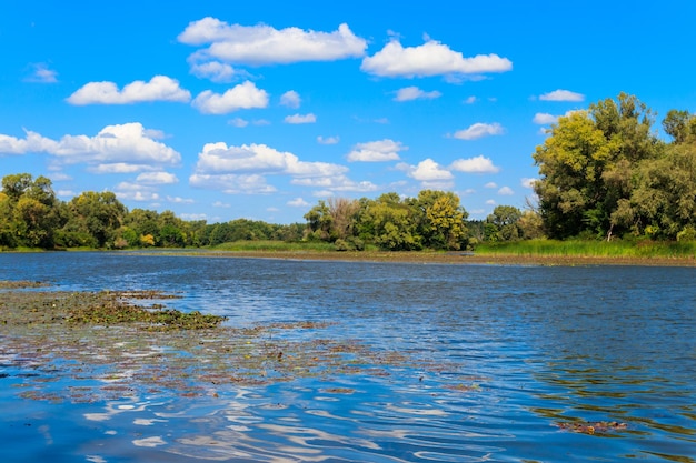 Paesaggio estivo con bellissimi alberi verde fiume e cielo blu