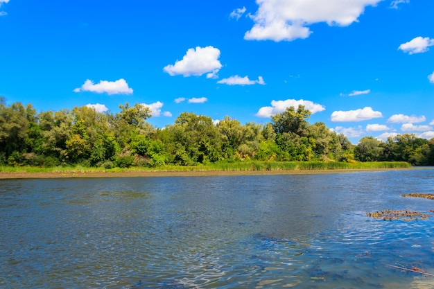 Paesaggio estivo con bellissimi alberi verde fiume e cielo blu