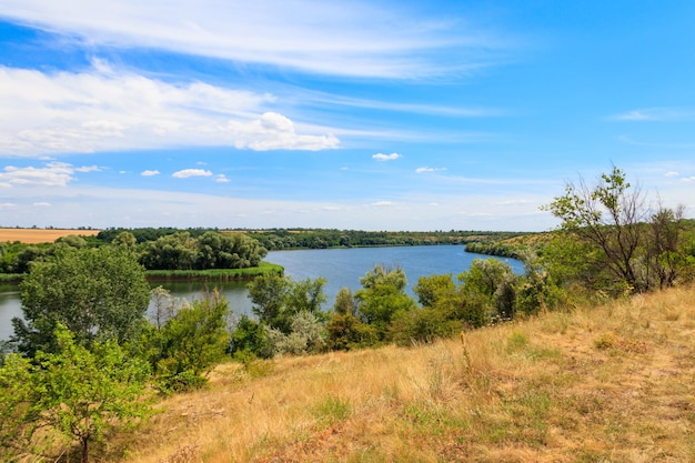 Paesaggio estivo con bellissimi fiumi, alberi verdi e cielo blu