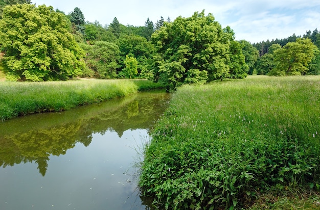 Paesaggio estivo con canale e prati.