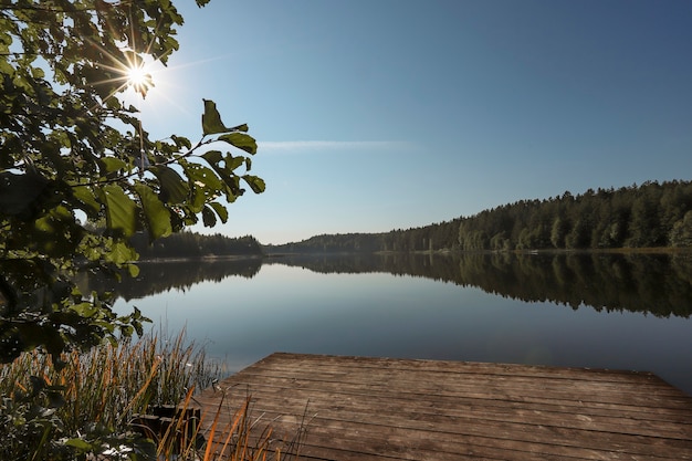 Paesaggio estivo con cielo limpido del lago della foresta di alberi e raggi del sole