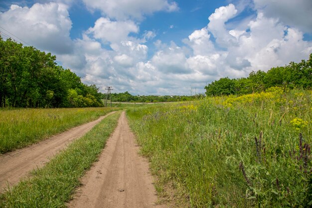 Paesaggio estivo con ferrovia e strada di campagna