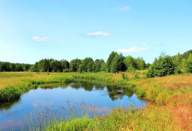 Paesaggio estivo con fiume e cielo blu