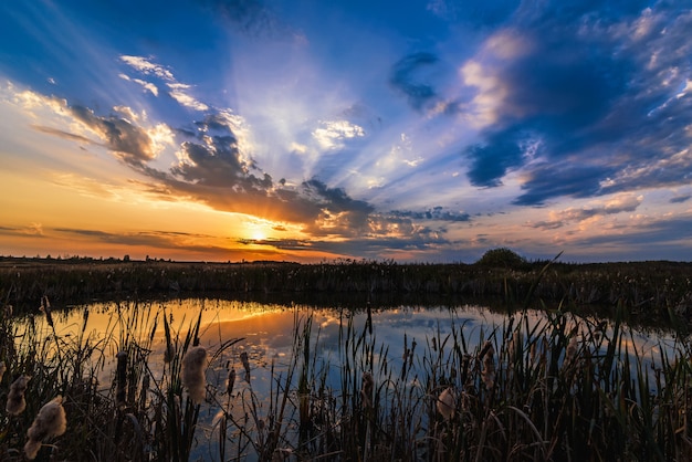 Paesaggio estivo con il riflesso del tramonto e dei raggi del sole nell'acqua dello stagno