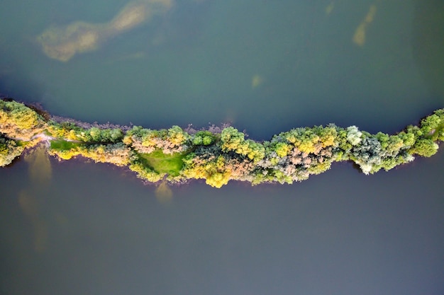Paesaggio estivo con istmo con alberi verdi in vista aerea di acque poco profonde del lago