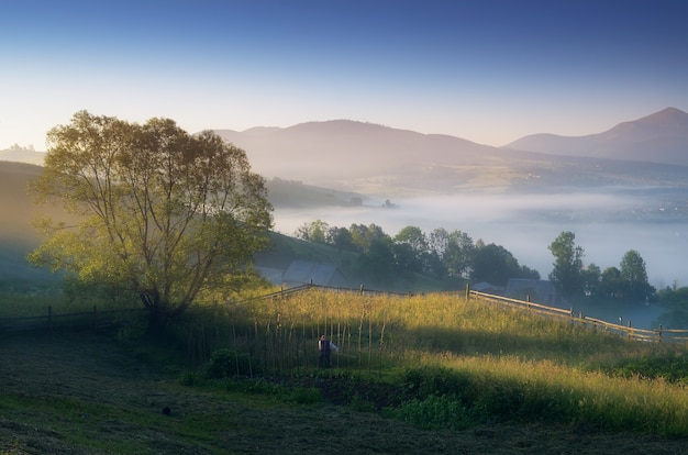 Paesaggio estivo con mattina di sole