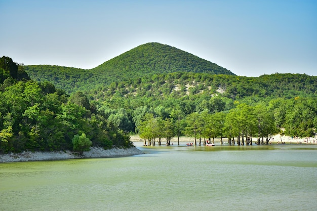 Paesaggio estivo con montagne verdi all'orizzonte e un lago con cipressi d'acqua