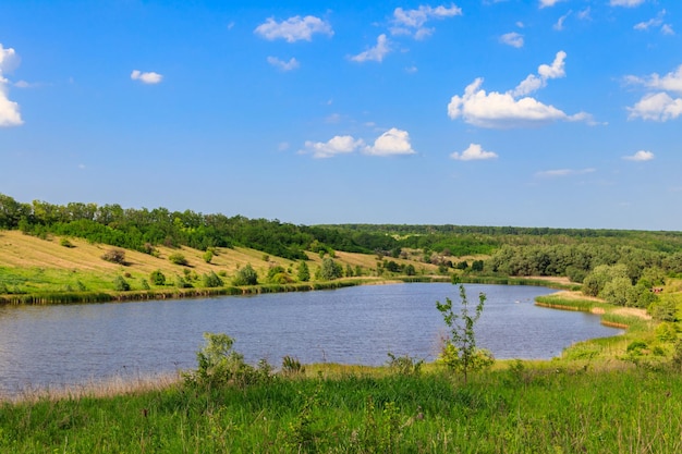 Paesaggio estivo con splendidi prati verdi lago, colline, alberi e cielo blu