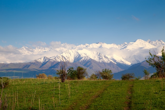 Paesaggio estivo con una strada rurale in montagna