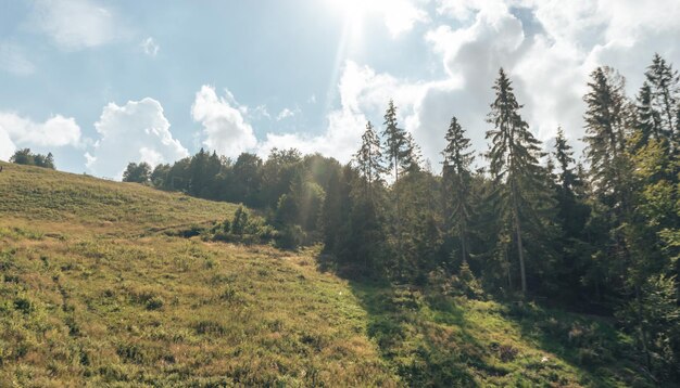 Paesaggio estivo dei Carpati Belle montagne sullo sfondo del cielo blu