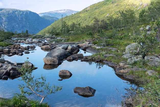 Paesaggio estivo del lago di montagna