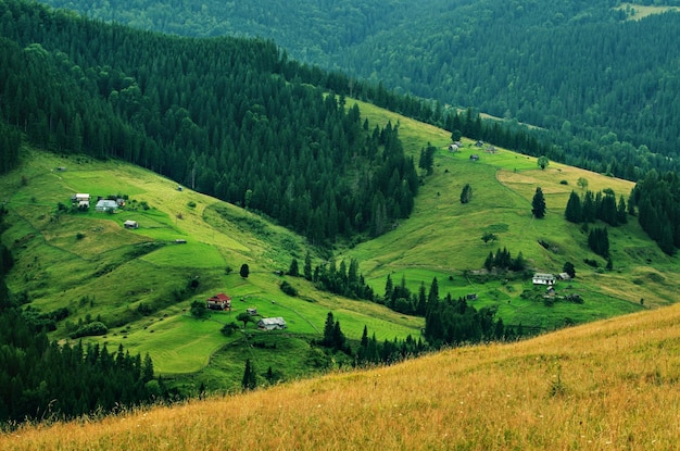 Paesaggio estivo delle montagne dei Carpazi con verdi colline soleggiate e case rurali