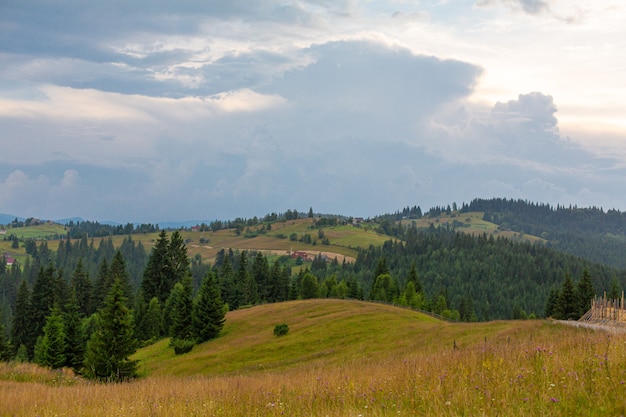 Paesaggio estivo delle montagne di Karpaty.