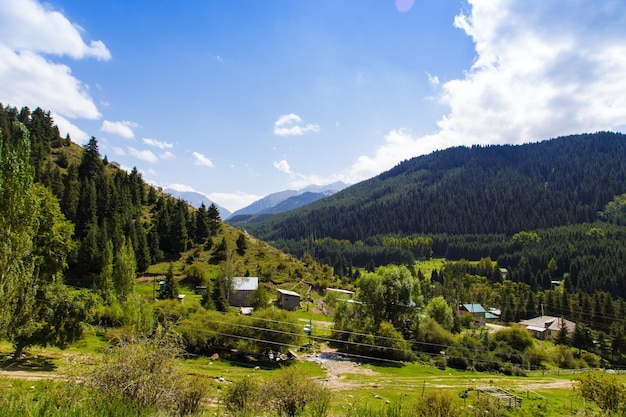 Paesaggio estivo di montagna Alberi ad alto fusto montagne innevate e nuvole bianche su un cielo blu Kirghizistan Bellissimo paesaggio