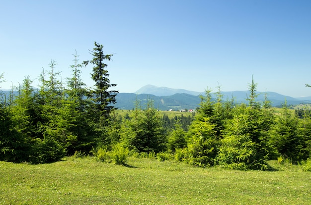 Paesaggio estivo di montagna con cielo blu