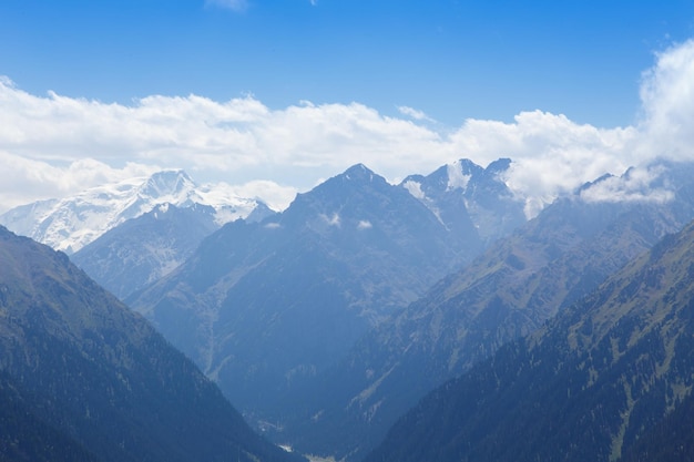 Paesaggio estivo di montagna Montagne innevate ed erba verde Picco Karakol Kirghizistan Bella vista dalla cima della montagna