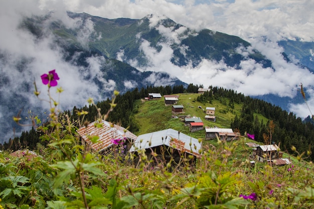 Paesaggio estivo di montagna nella regione del Mar Nero di Turke