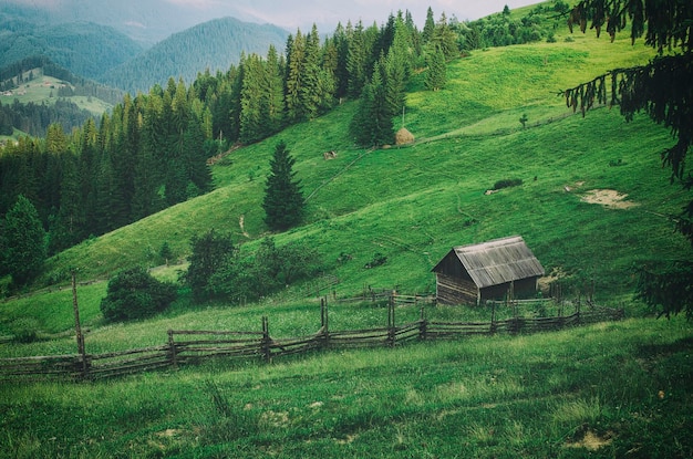 paesaggio estivo di montagna