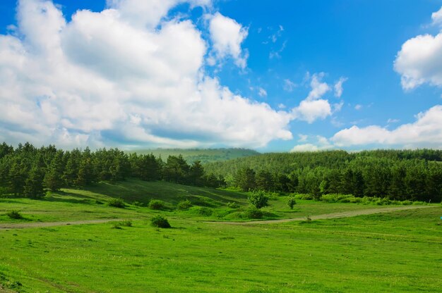 paesaggio estivo di montagna