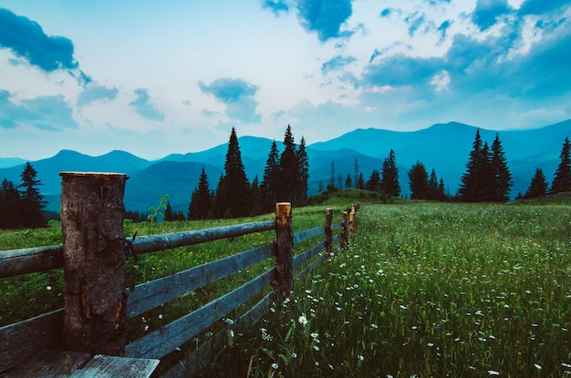 paesaggio estivo di montagna