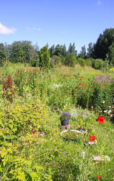 Paesaggio estivo in campagna.