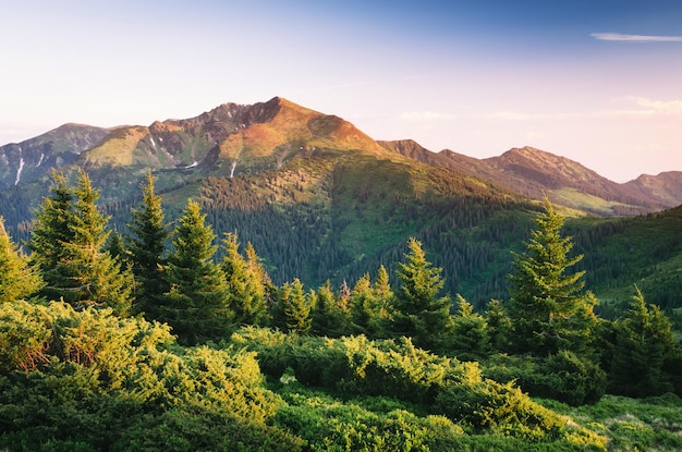 Paesaggio estivo in montagna con alba