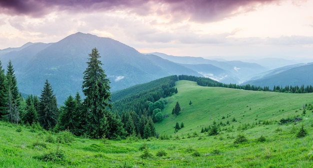 Paesaggio estivo in montagna con una bellissima alba