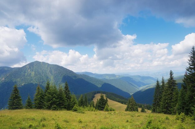 Paesaggio estivo in montagna