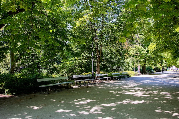 Paesaggio estivo in un giorno soleggiato giardino del parco Varsavia Polonia albero percorso