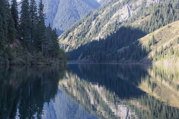 paesaggio estivo mozzafiato con lago di montagna