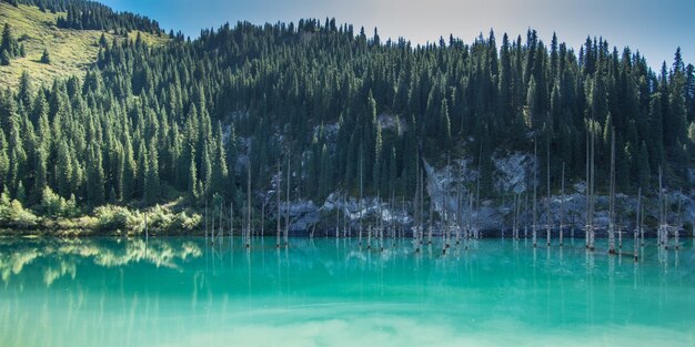 paesaggio estivo mozzafiato con lago di montagna