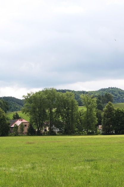 paesaggio estivo naturale.