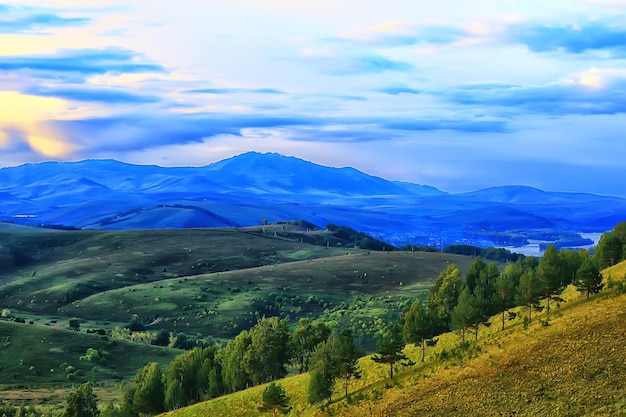 paesaggio estivo nella foresta sfondo panorama natura stagione estiva paesaggio alberi