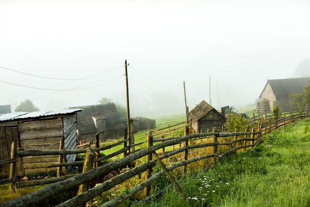 Paesaggio estivo nelle montagne dei Carpazi in Ucraina