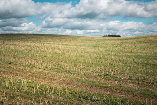 Paesaggio estivo soleggiato Campo collinare agricolo dopo il raccolto con nuvole bianche che passano nel cielo blu