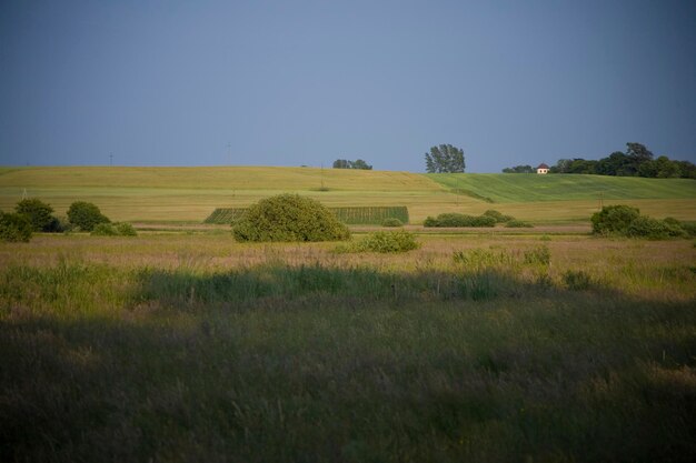 Paesaggio estivo