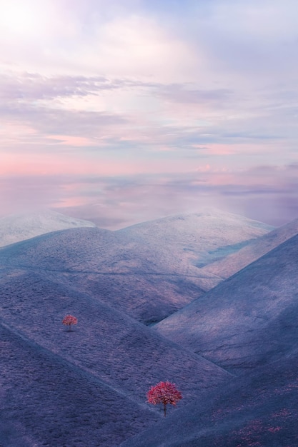 Paesaggio fantastico con un albero solitario