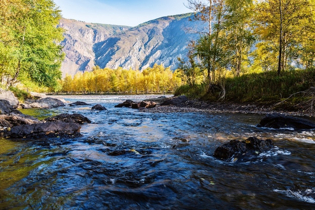 Paesaggio fluviale di montagna mattina d'autunno. Russia, Altai, fiume Chulyshman