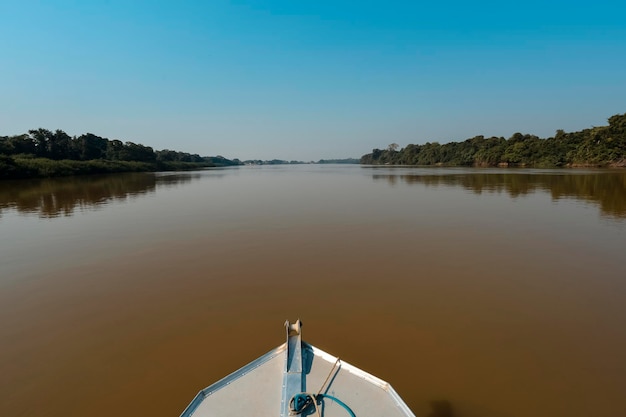 Paesaggio fluviale e junglePantanal Brasile