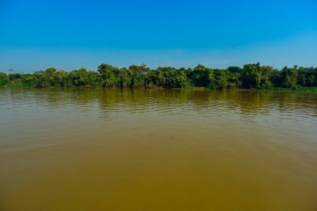 Paesaggio fluviale e junglePantanal Brasile