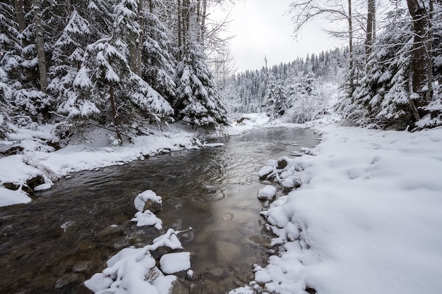 Paesaggio fluviale invernale