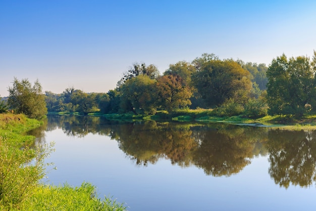 Paesaggio fluviale nella soleggiata mattina d'estate