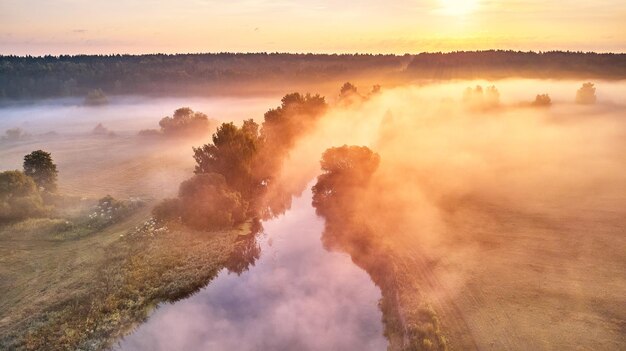 Paesaggio fluviale sereno con alberi verdi lussureggianti e sole che sorge