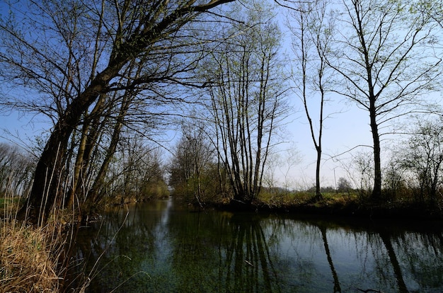 Paesaggio fluviale