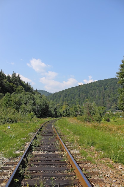 Paesaggio Forest Railway.