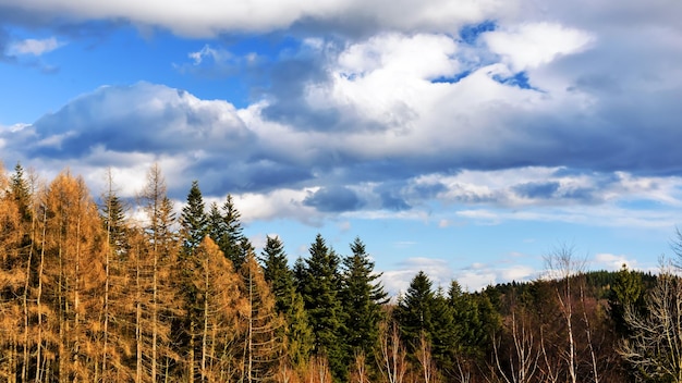 Paesaggio forestale autunnale in montagna sullo sfondo di un cielo pittoresco in una giornata di sole