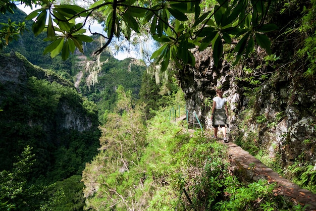 Paesaggio forestale con una donna escursionista su una levada sull'isola di Madeira Portogallo