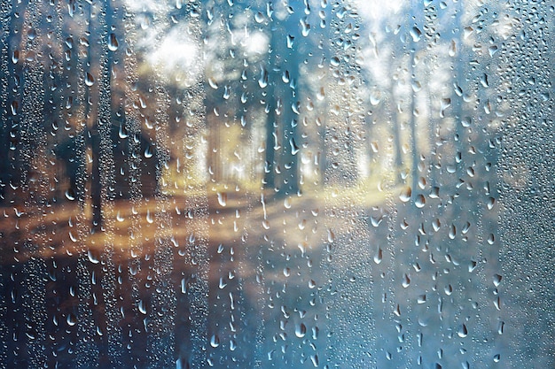 paesaggio gocce di pioggia autunnali schizzi sullo sfondo della foresta, ottobre meteo paesaggio bellissimo parco