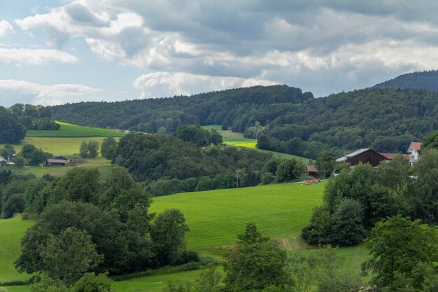 Paesaggio idilliaco della foresta bavarese