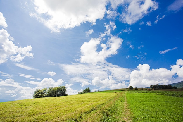 Paesaggio idilliaco in montagna con prati verdi freschi